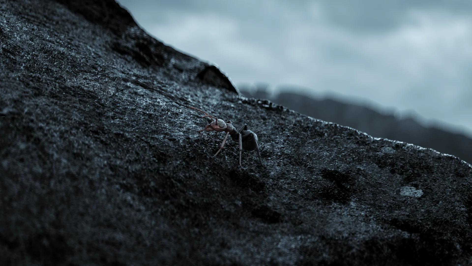 Outworld detail 2